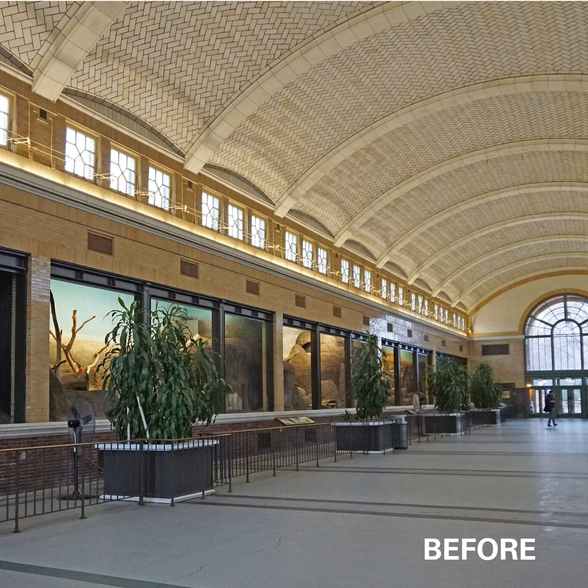 Pepper Family Wildlife Center at Lincoln Park Zoo Receives Two Awards